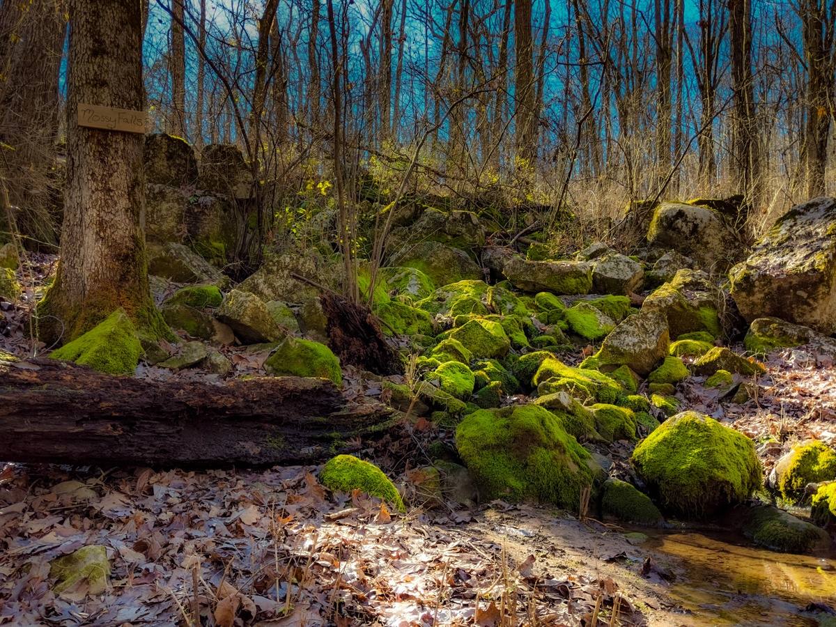 Chapman Mountain Nature Preserve - Huntsville Adventurer