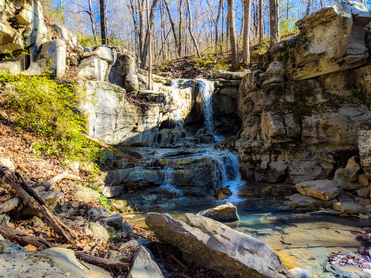 Wildflower Trail Huntsville Adventurer