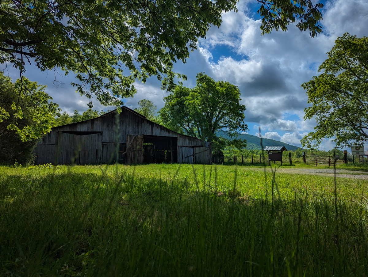 Roy B Whitaker Preserve - Huntsville Adventurer